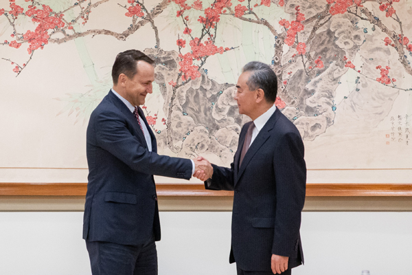 王毅见西1.jpg