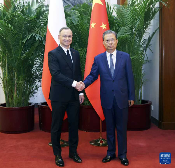 赵乐际.jpg